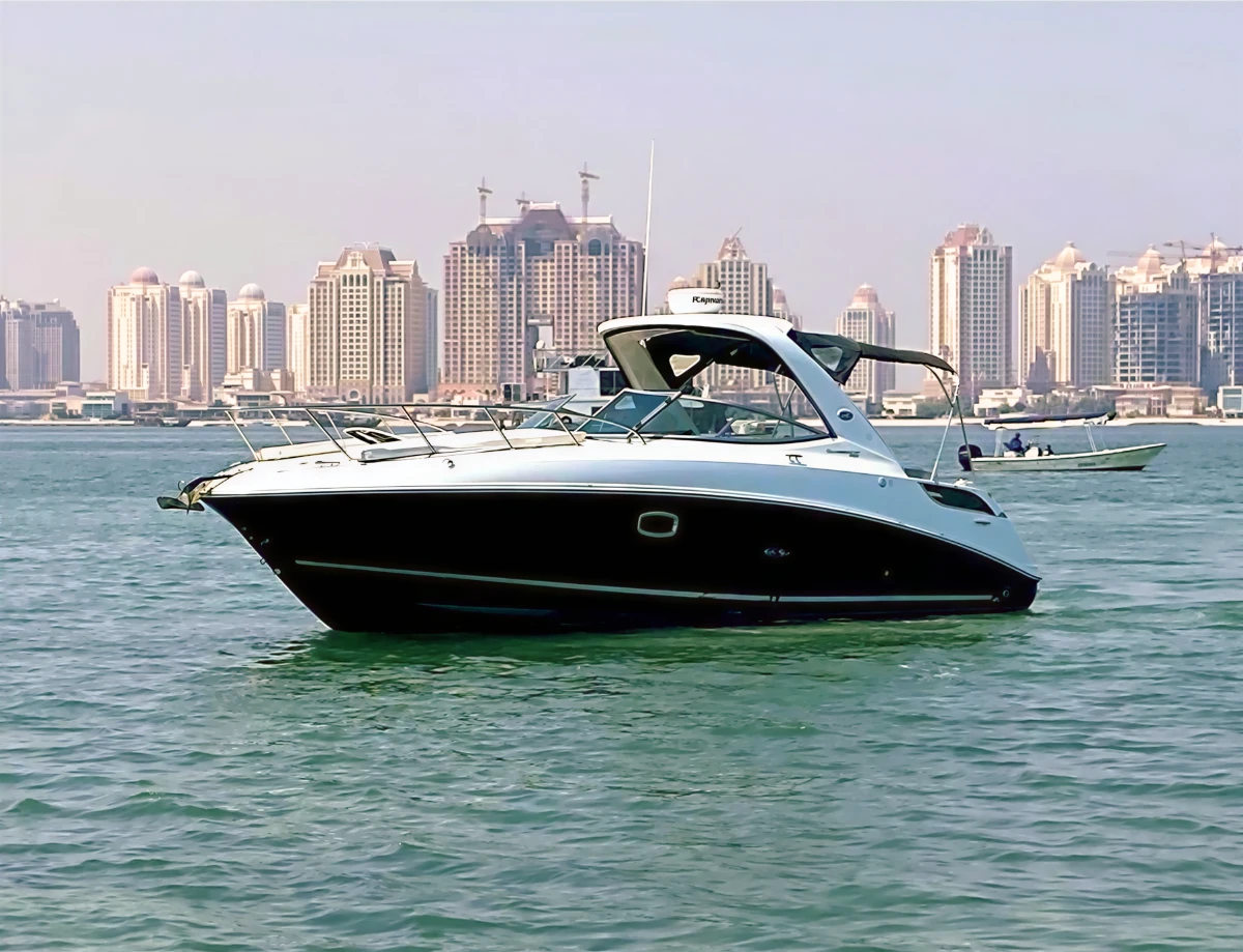 2013 Sea Ray 310 Sundancer
