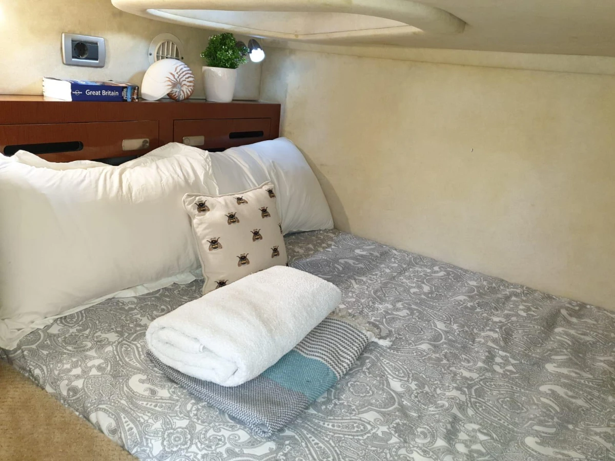 2013 Sea Ray 310 Sundancer