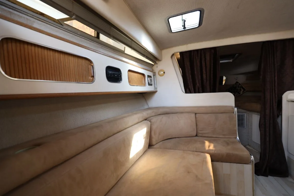 SEARAY 310