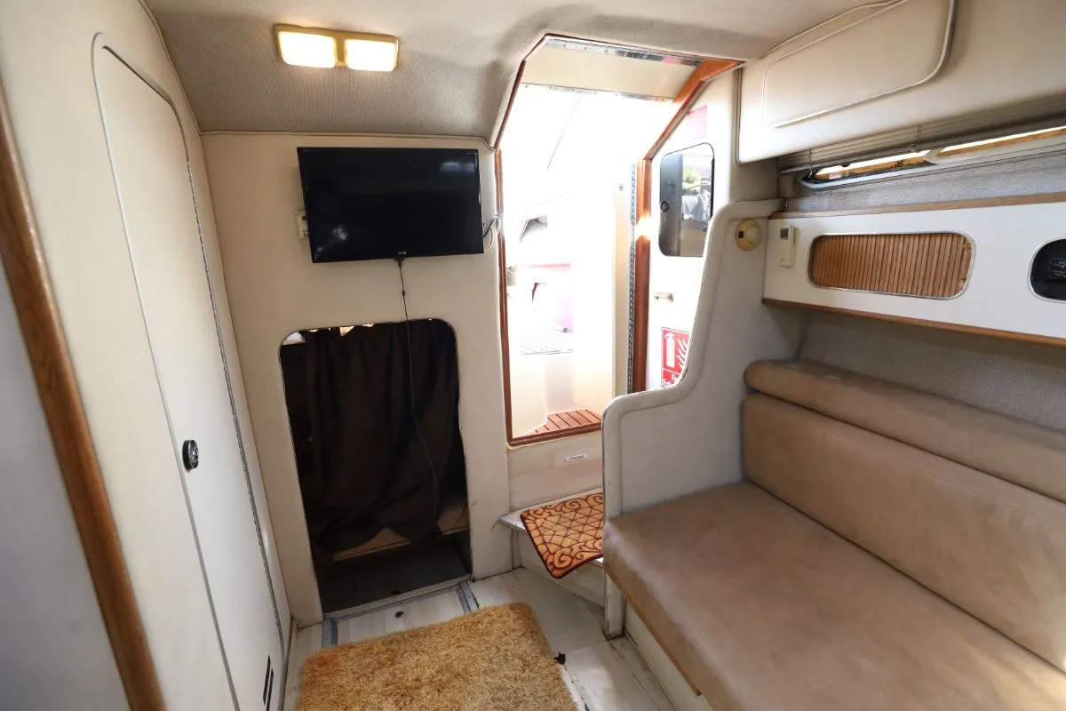 SEARAY 310