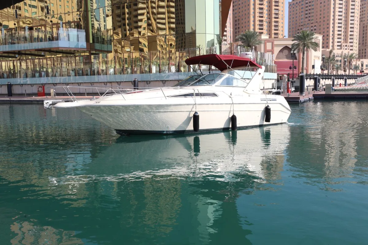SEARAY 310