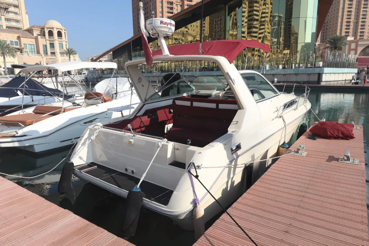 SEARAY 310