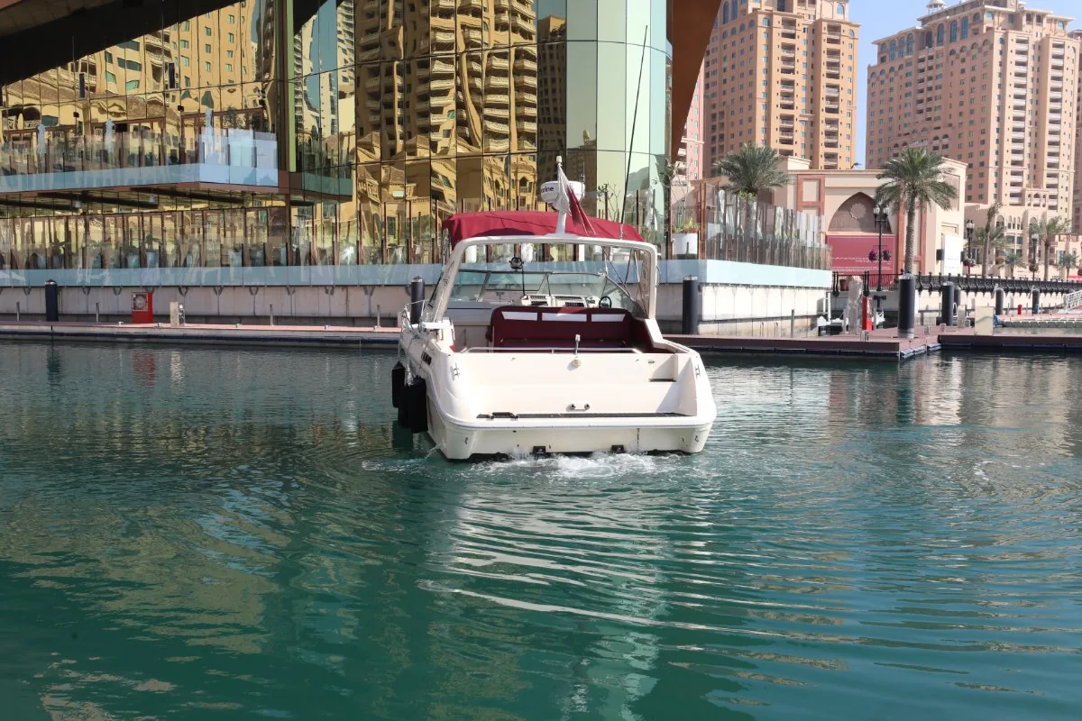SEARAY 310