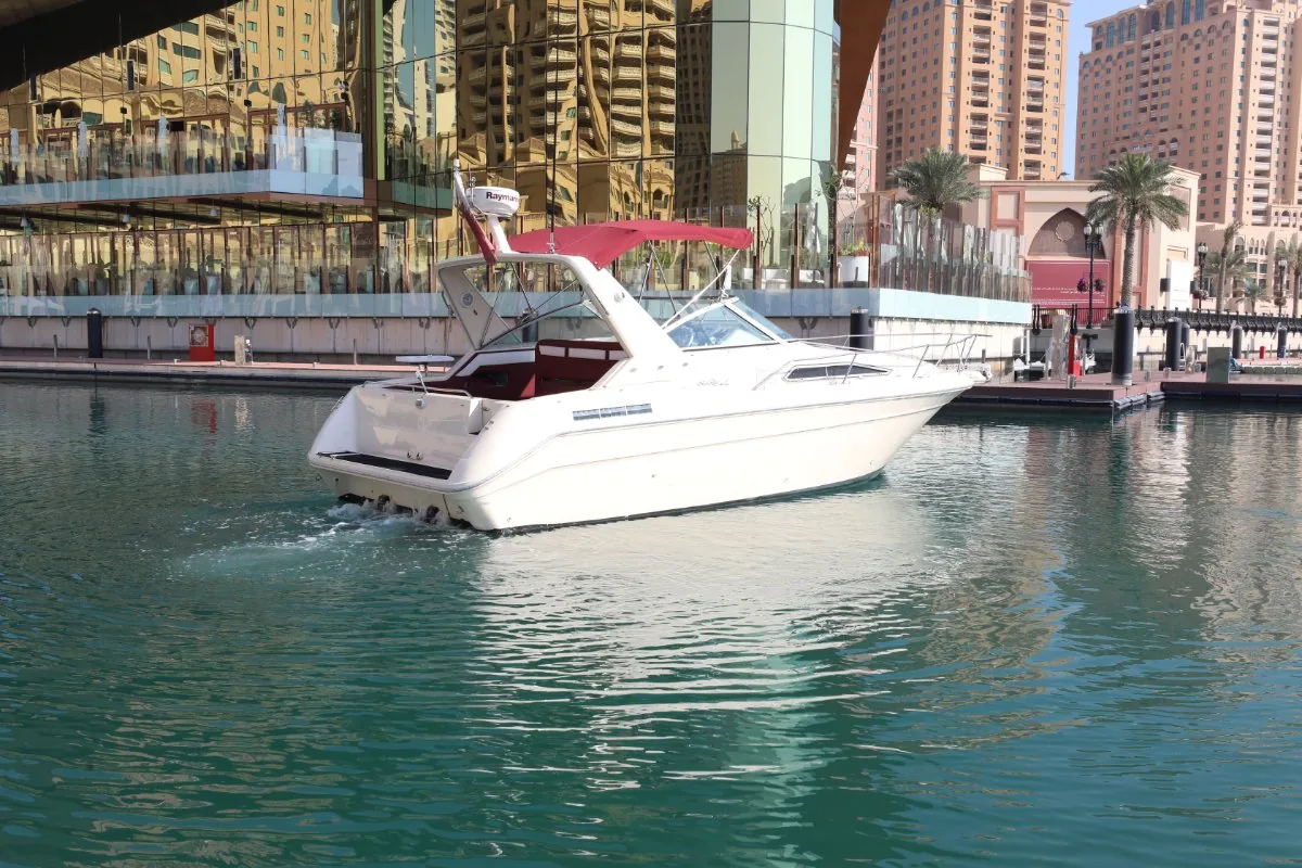 SEARAY 310