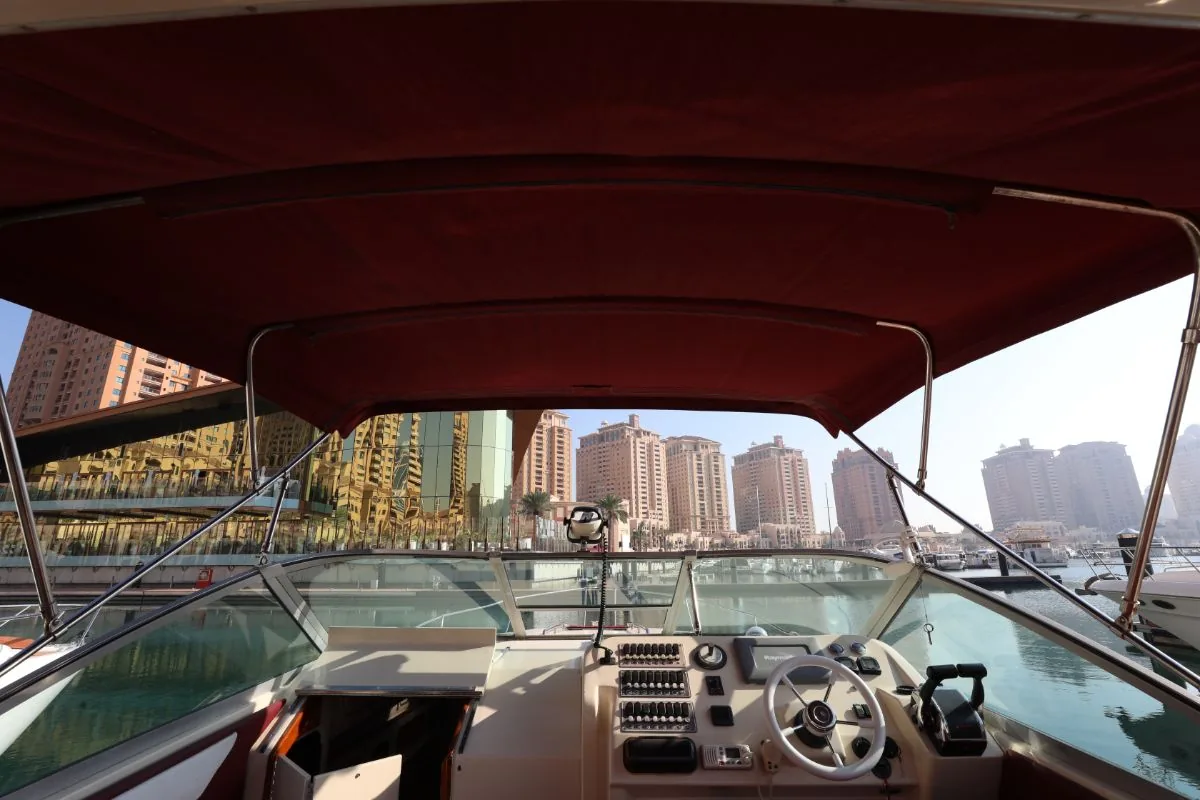 SEARAY 310