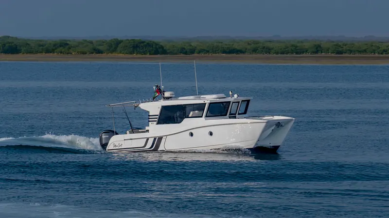SilverCat 35CX running past a green shoreline